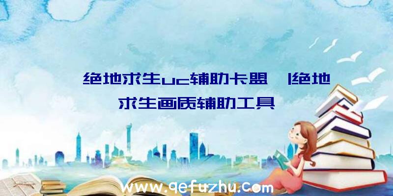 「绝地求生uc辅助卡盟」|绝地求生画质辅助工具